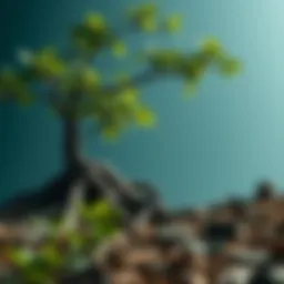 Origins of Axia Coin