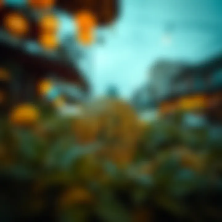 한국 환율의 이해 및 암호화폐 시장에 미치는 영향 Introduction