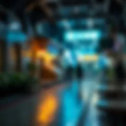 메타주식: 새로운 투자 패러다임 Introduction